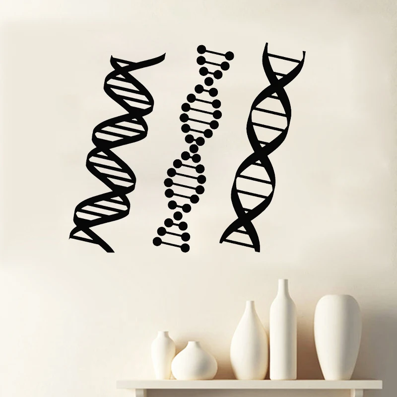 DNA Genealogy Wall Sticker Biology Chemistry Decal School Science Class Decoration Home Decor Bedroom Mural Poster