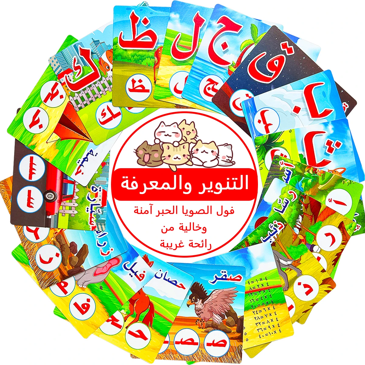 Flash Card Alphabet - Vroegkinderlijke educatieve inlichtingsset met Arabisch alfabet