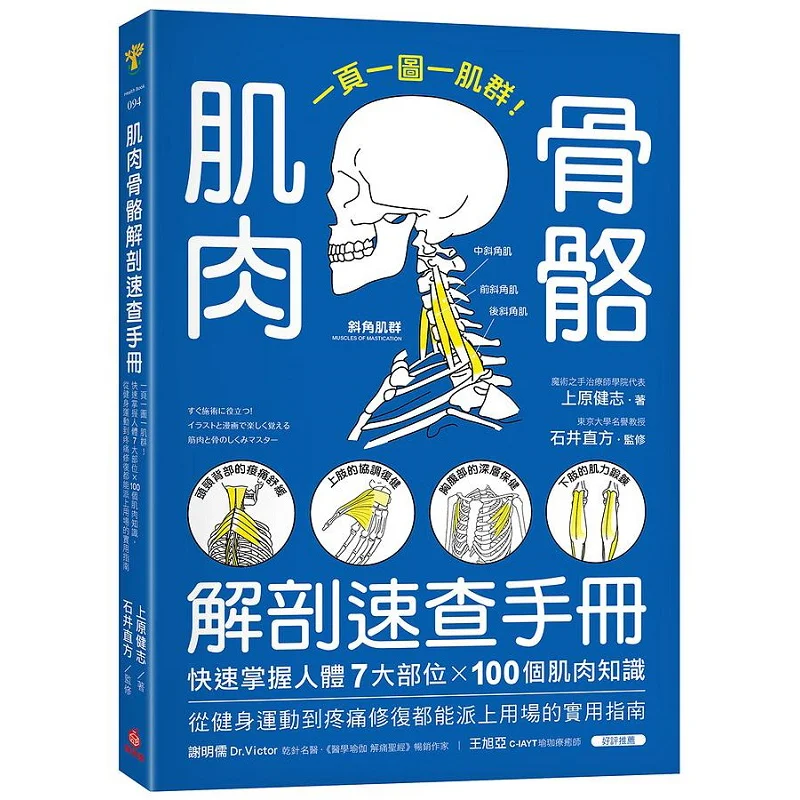 Musculoskeletal Anatomy Quick Reference Manual One Page One Picture One Muscle Group Quickly Master The Knowledge Of 7 Major Bod