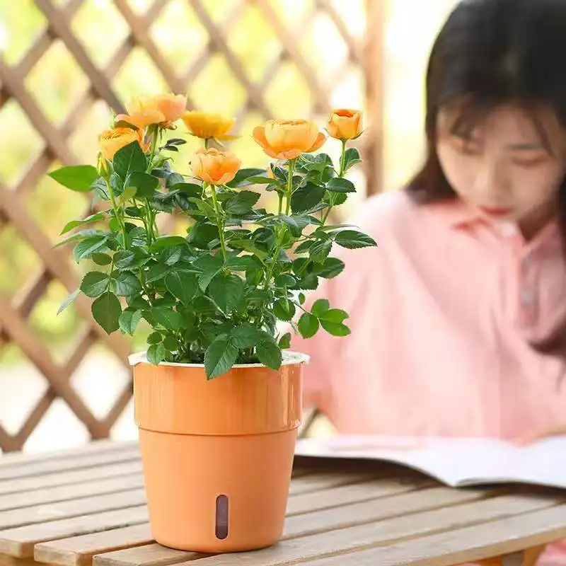 Maceta de plástico de doble capa de autorriego, maceta de absorción automática de agua, maceta colorida, soporte para plantas de escritorio