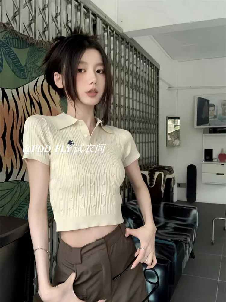 Vintage Polo Collar Embroidered Knit Top for Women Short Sleeve Crop Top Gray Apricot Women Clothing Ribbed Hot Girl Aesthetic