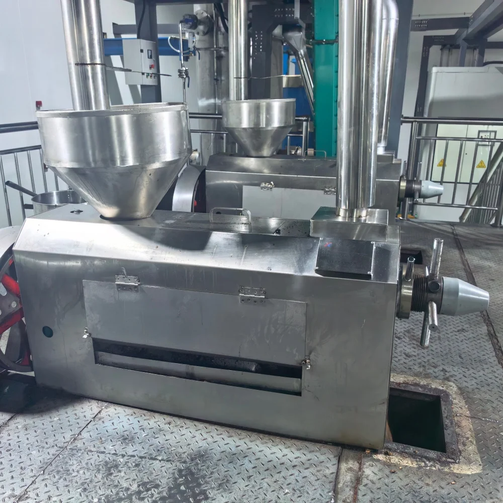 High Output Single Screw Oil Press Machine for Vegetable Edible Oil Extraction