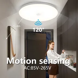 LED Ceiling Lamp PIR Motion Sensor 220V 110V 9W 13W 18W 24W 36W Warm White Cold White Mordern Ceiling Lights For Foyer Hallways