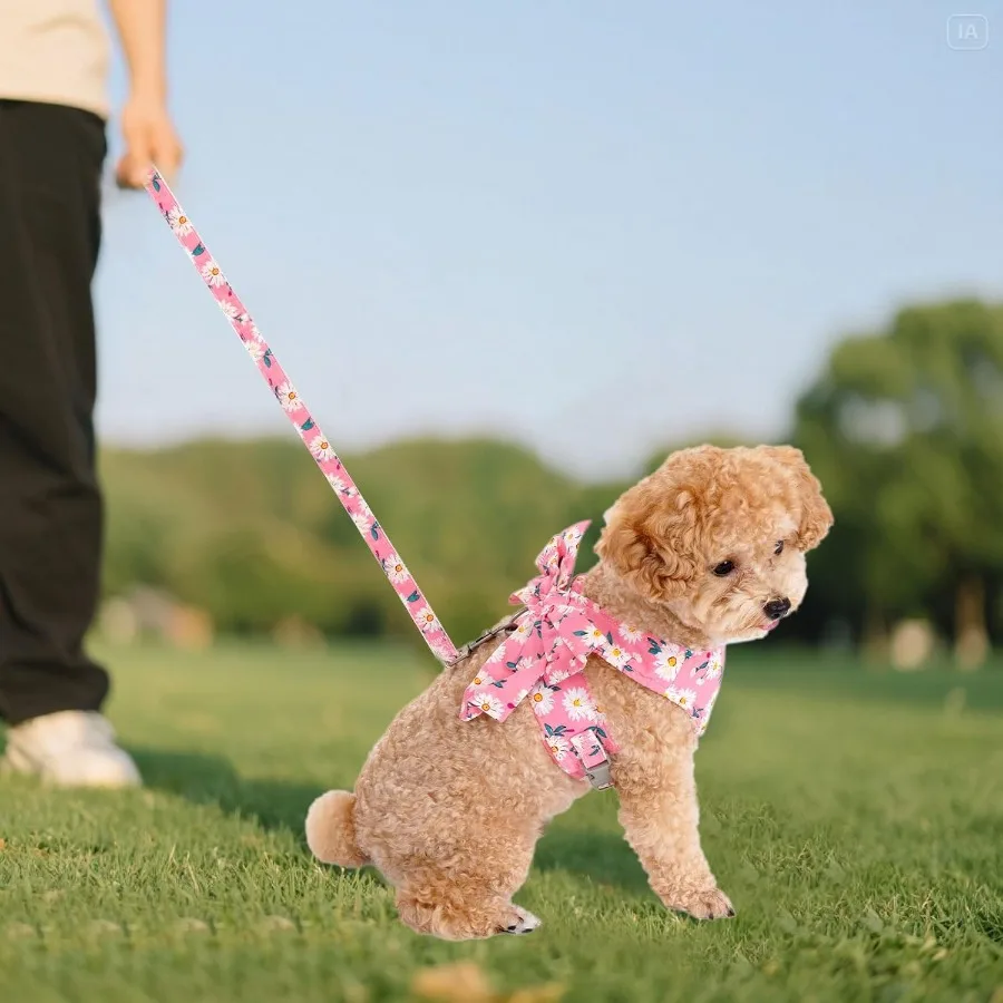 Hondenharnas en riemset Verstelbaar puppyharnas Mesh vest Set Strikknoop Huisdierenkleding voor kleine meisjes Hond Kat Zomer Roze XSmall