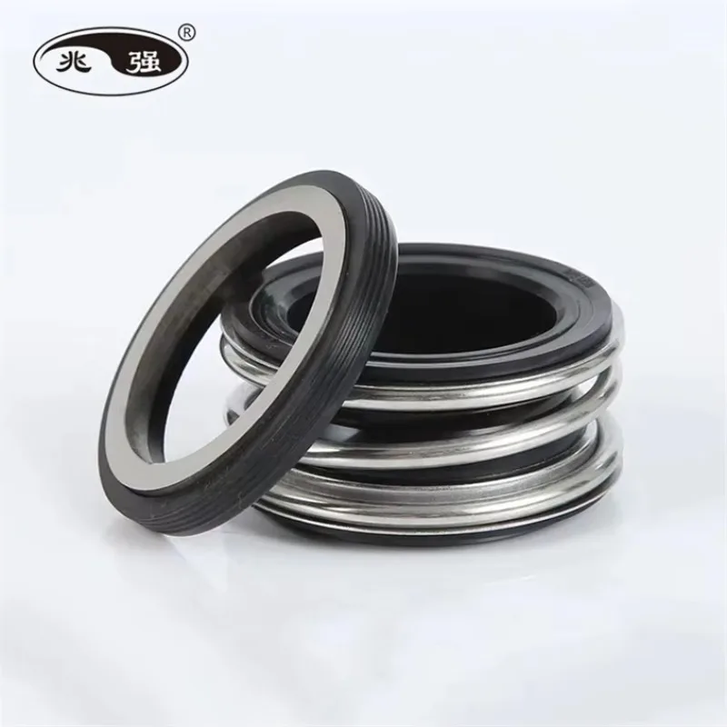 كربيد السيليكون MG1-G60 المطاط بيلو الميكانيكية مضخة تفريغ الختم