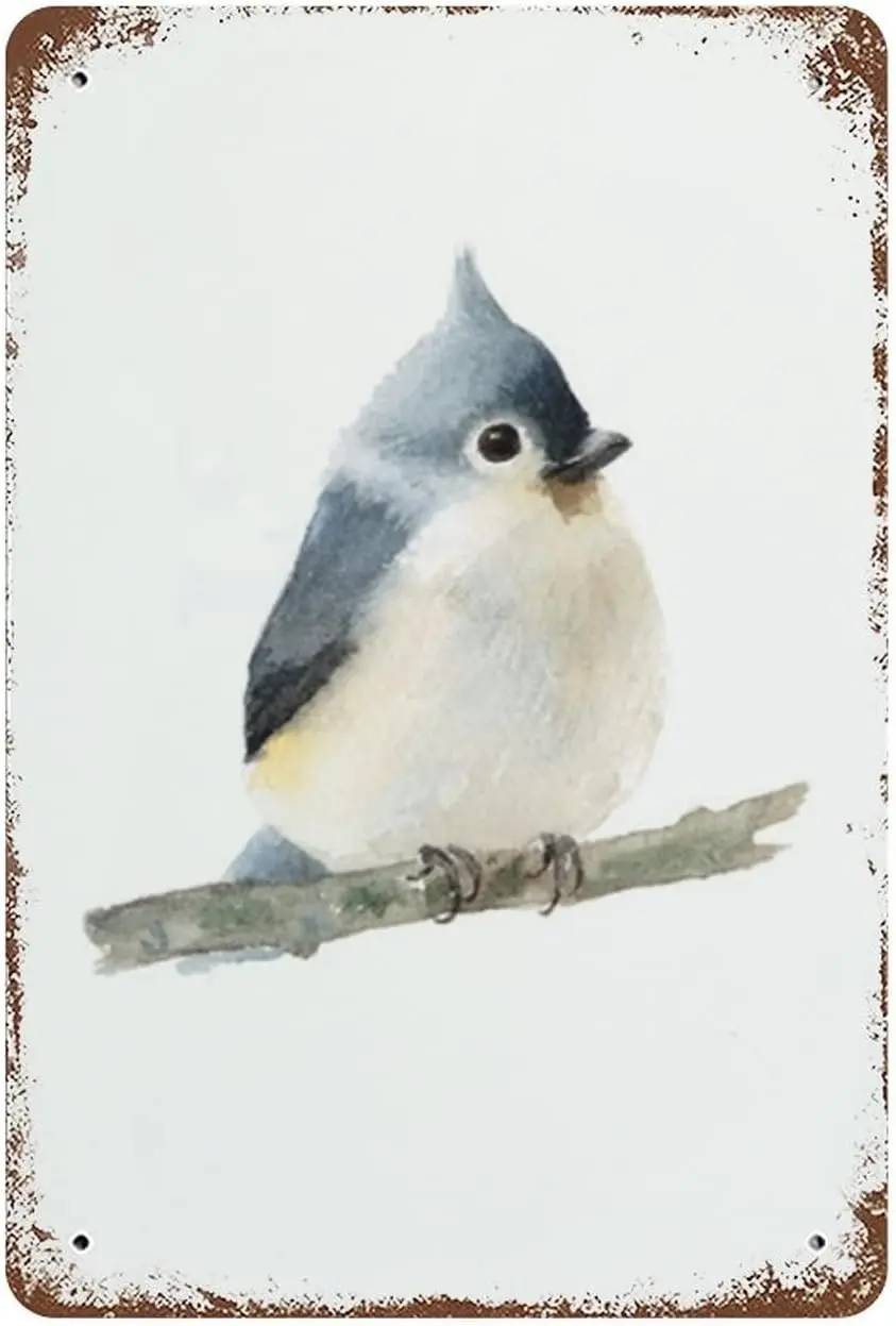 1p,Tufted Titmouse Bird Vintage Metal Plaque Sign Retro Poster Vintage Metal Tin Signs For Women Men Garden Wall Decor for Home