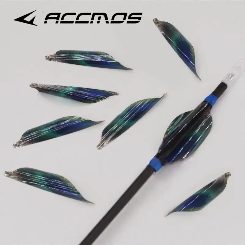 

50 шт./коробка Спиральные опережители для стрел для стрельбы из лука | Пластиковые оперения для стрел (левое/правое расположение), аксессуар для самостоятельной сборки, 4 цвета