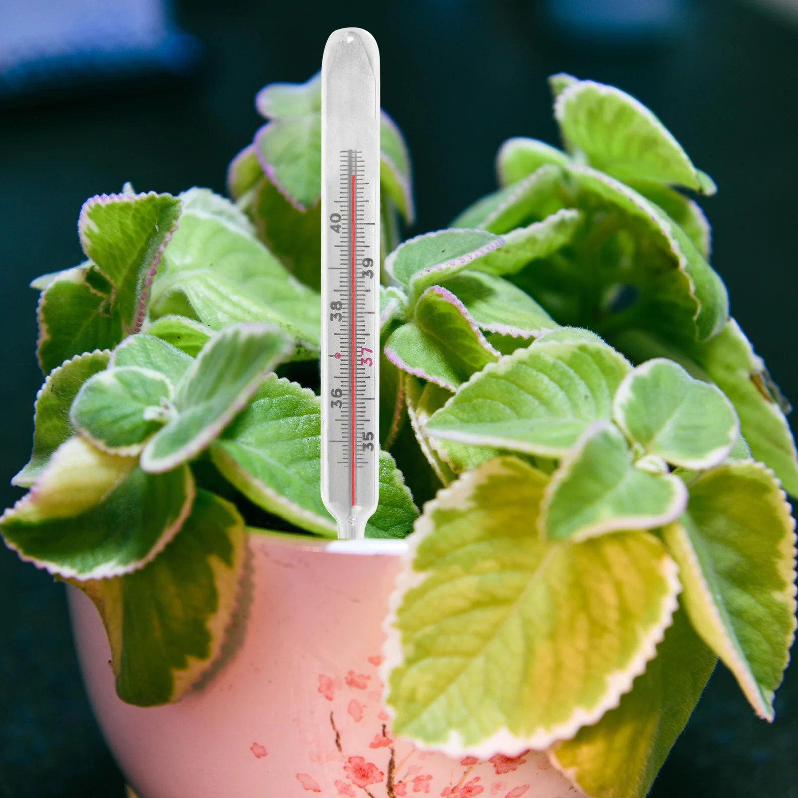 

10pcs Water Level Indicator Accessories for Flower Pot Plant Moisture Gauge Durable Plastic Gardening Tool