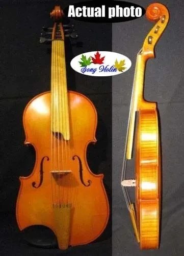 Baroque style SONG Brand Professional master 6 strings 16