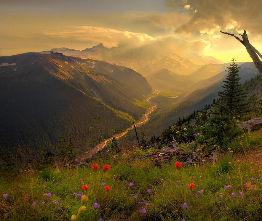 

Axisflying Argus Pro 80A 100A ESC, 32-битный регулятор скорости 8S для 13-дюймовых дронов FPV, мощный бесщеточный моторный привод