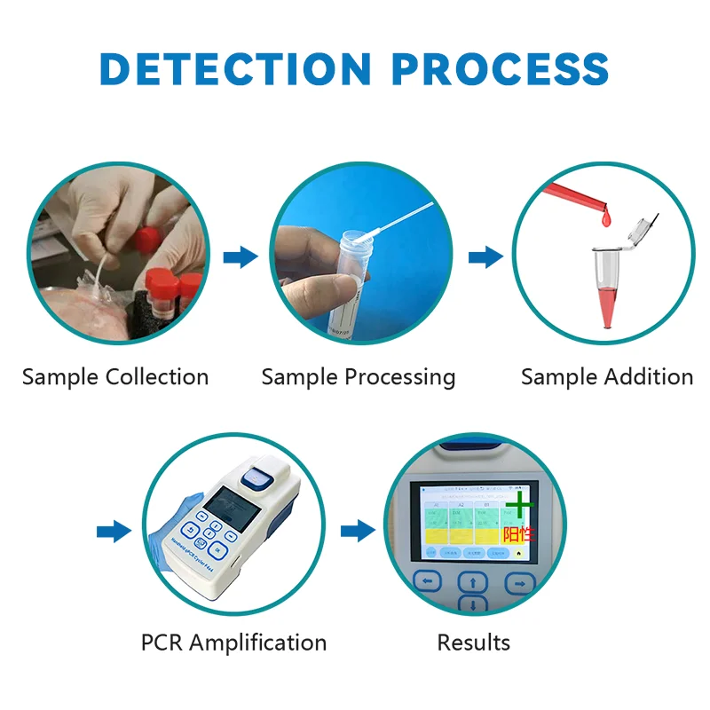 Portable On-site Nucleic Acid Rapid Real-Time PCR Testing Equipment Food Safety Analyzer POCT Diagnostic Veterinary Instrument