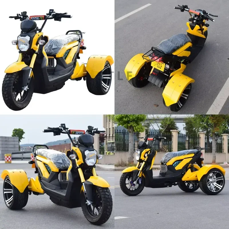 STROVAN Mobility 1000W Fashion Removable Battery Good Quality Powerful Three Wheel 3- Wheel Electric Tricycle Scooter Trike