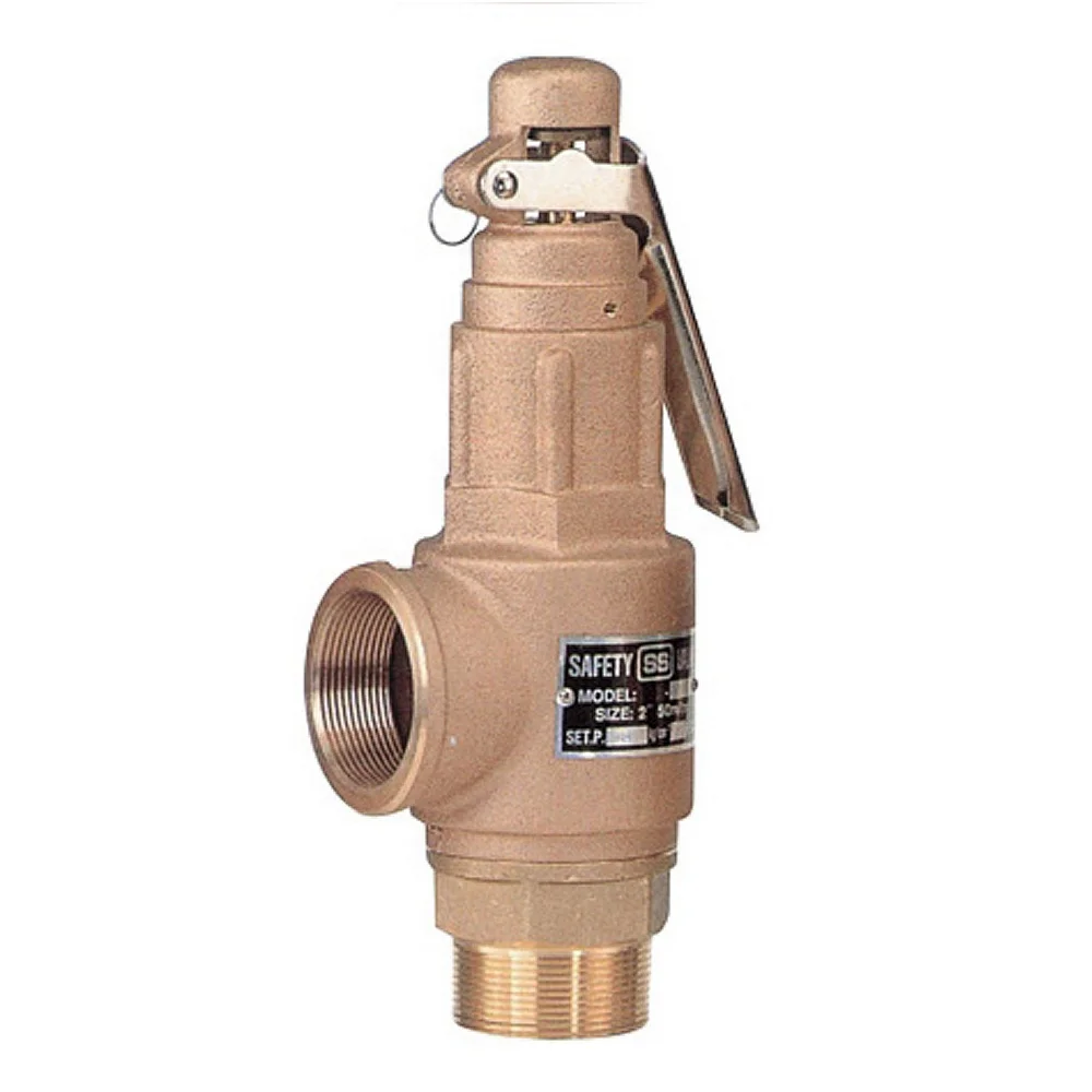 COVNA DN50 2 Inch NPT / BSPT Thread Brass Bronze Boiler Steam Safety Relief Valve with Lever