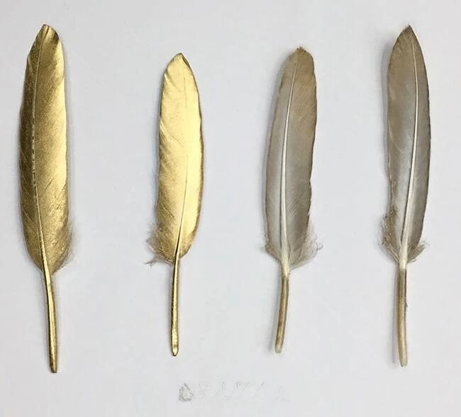 10-15cm Gold Duck Feathers for Crafts DIY Decoration Wedding Hat Plumas for Jewelry Making Dreamcatchers Clothes Plumes
