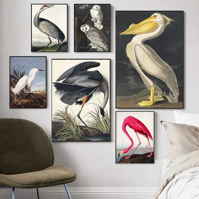Vintage Bird Canvas Print Audubon Bird Posters Pink Flamingo Snowy Owl Pelican Blue Heron White Egret Wall Art Canvas Paintin