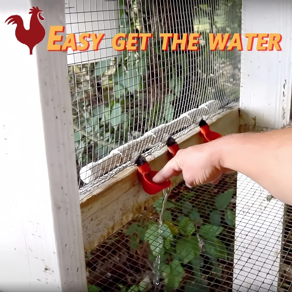 موزع مياه الدجاج الأوتوماتيكي، وعاء شرب الدواجن البلاستيكي، أنبوب مستقيم لحظيرة الدجاج المزرعة، نظام مياه الشرب الأوتوماتيكي #3