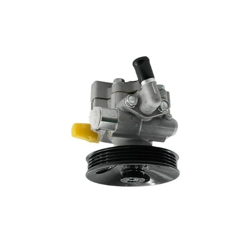 

9006506 Automotive Power Steering Pump Power Steering Pump