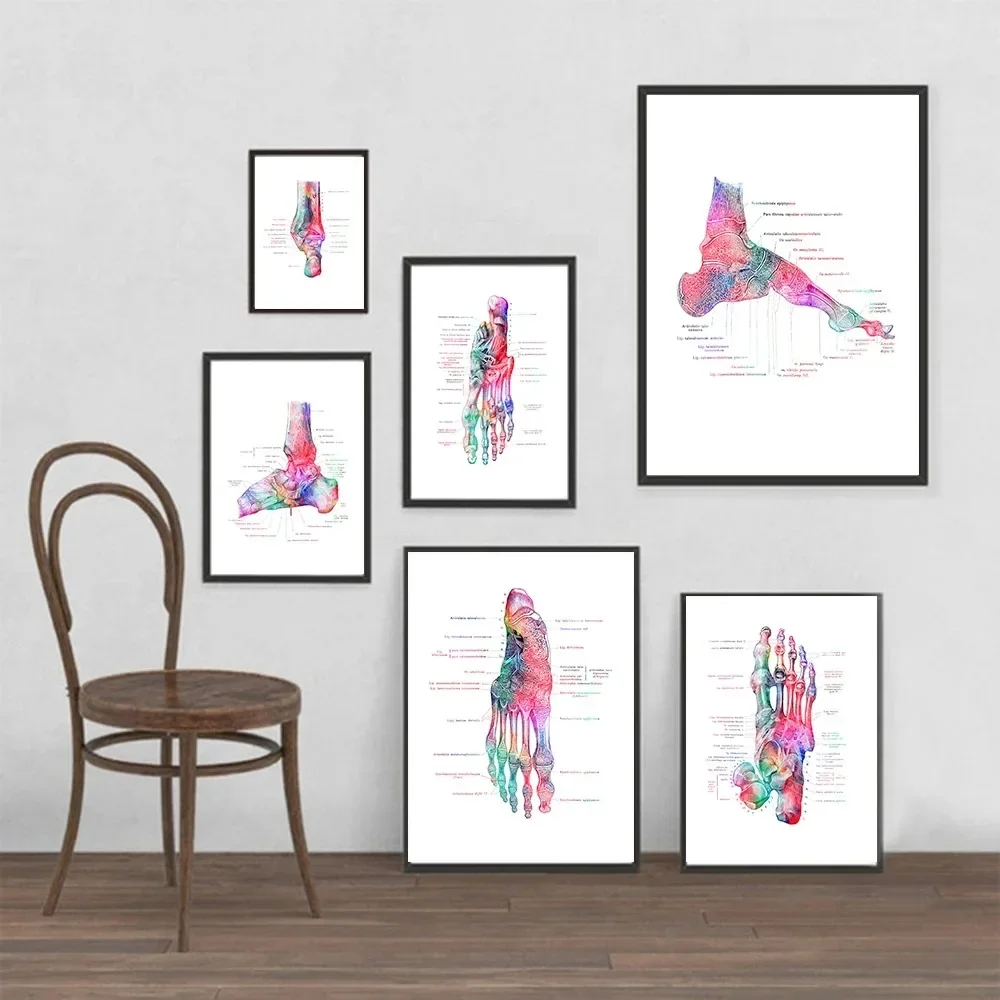 Canvas Painting Print Foot Bone Anatomy Artwork Medical Wall Picture Podiatry Poster Muscle System Vintage Poster Body Education