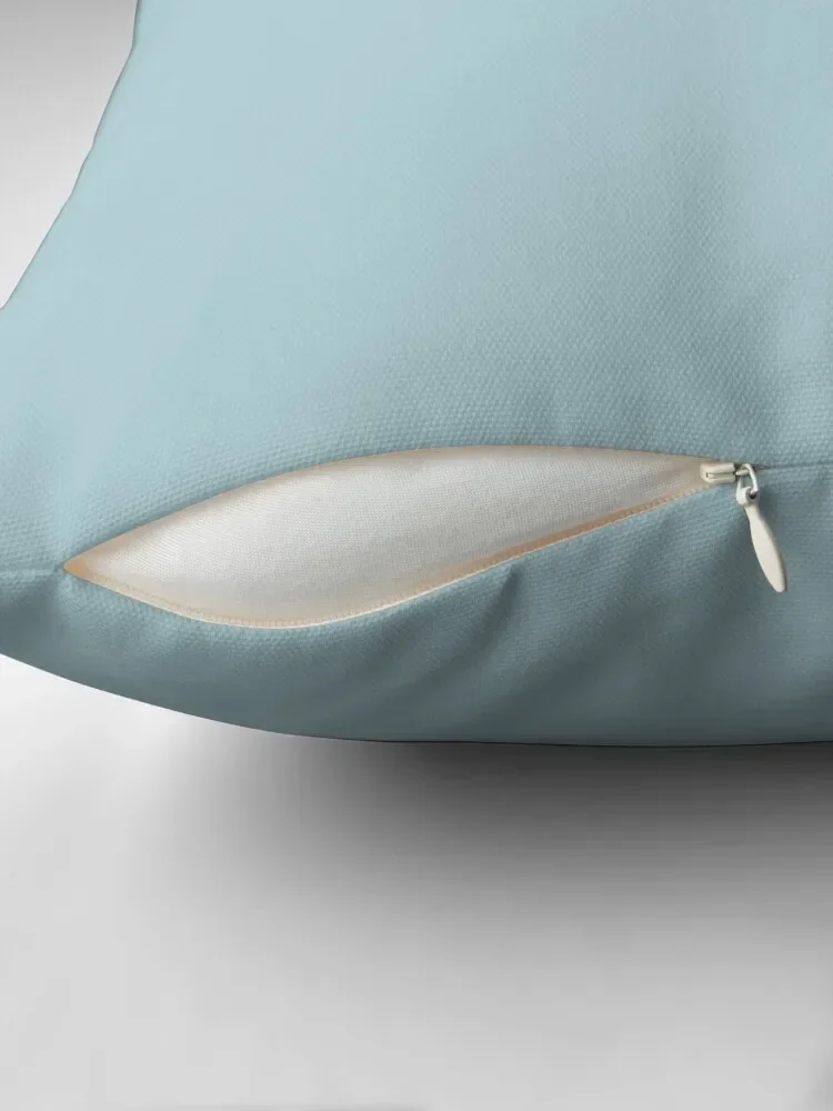 DUCK EGG BLUE...Plain...Solid...Block... Throw Pillow anime girl Cushions Home Decor pillow