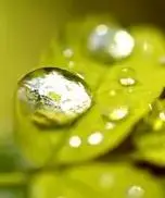 

NEW 36V 8.0Ah 18650 Rechargeable Lithium Battery Pack 10S3P 500W High Power Modified Bicycle Scooter Electric Vehicle with BMS