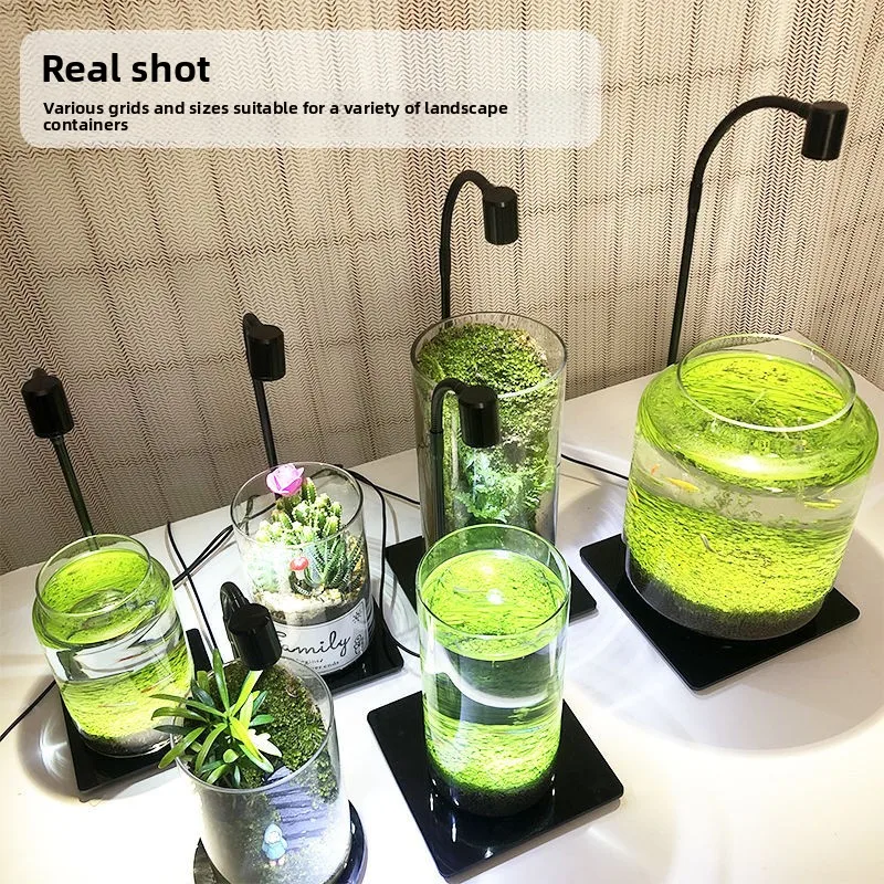 2026 Full Spectrum LED Micro Landscape Light Terrarium Moss Aquascape Supplement Lamp Indoor Plant Lighting Fixture