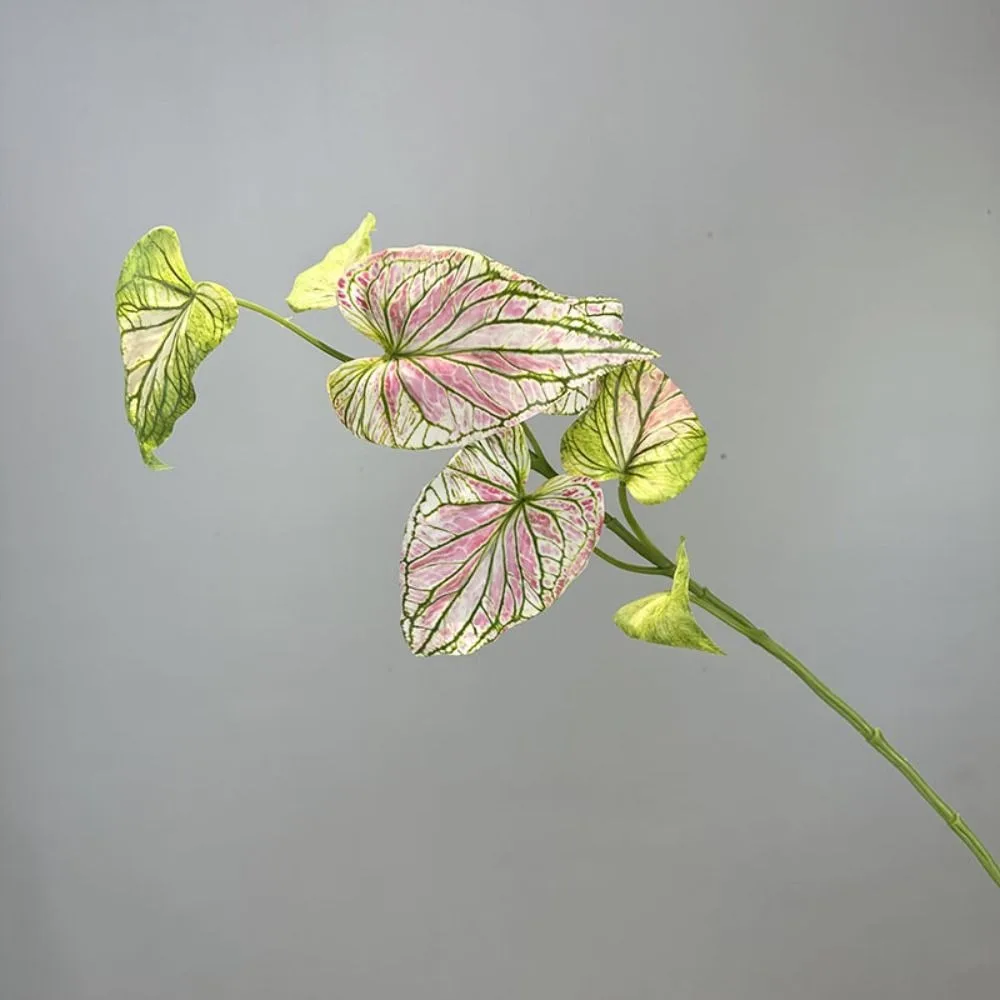 

Tropical Plant Artificial Anthurium Leaf Palm Plant Plastic Simulation Taro Leaf Plant Lifelike 3d Printing Fake Plant