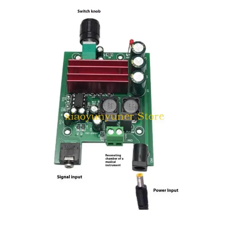 P9JB Premium Mono Amplifier Module 100W Output Power Advanced Circuit Design For Clear Auditory Projection