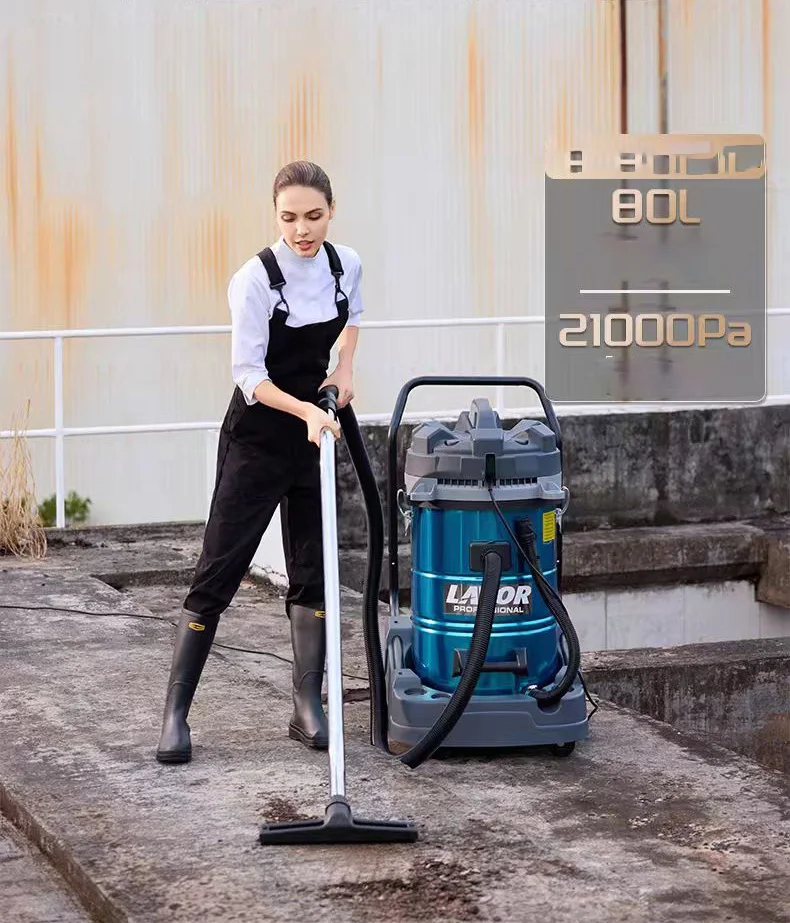 Рисунок 2 - Новый тип 3000 Вт большой всасывающий