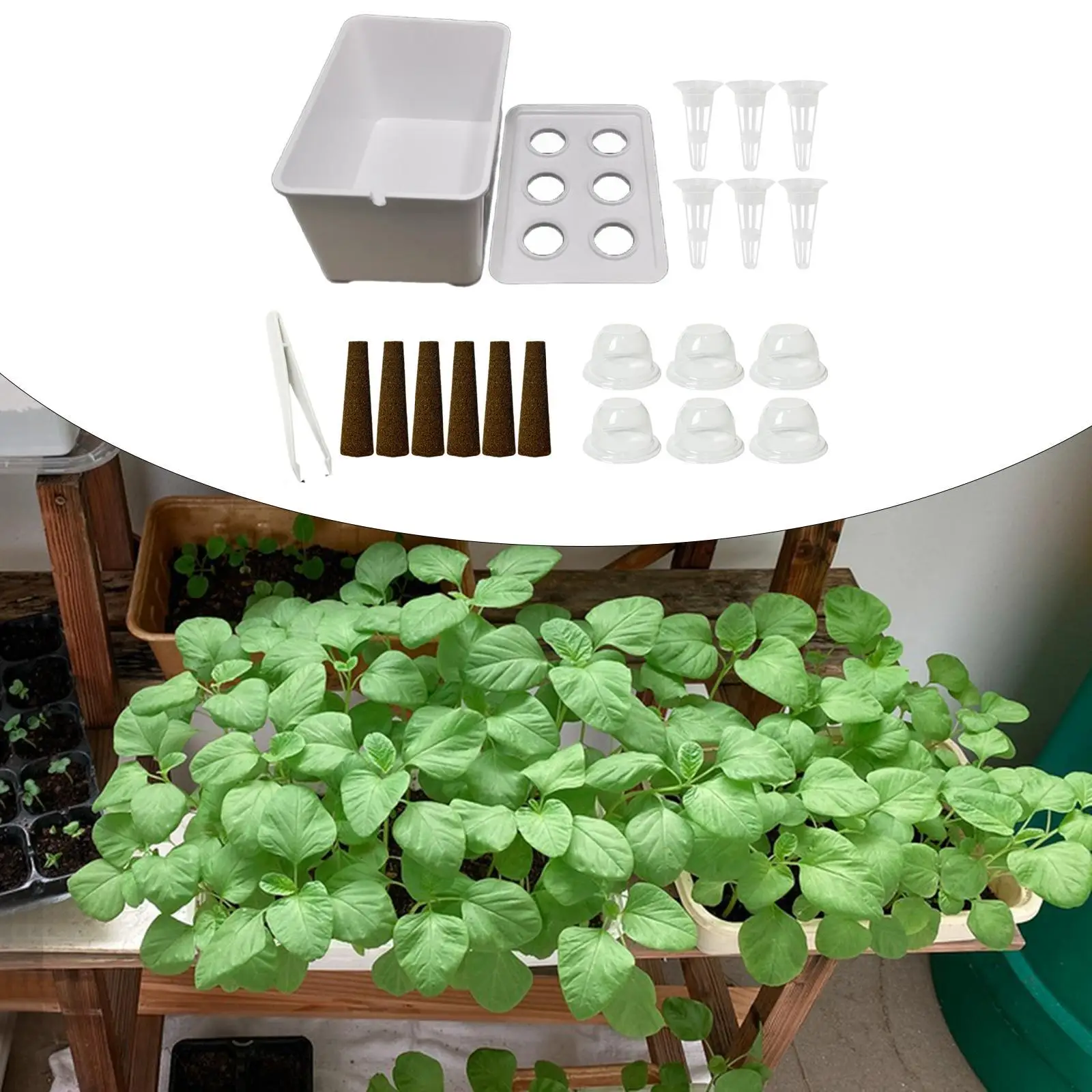 Hydroponics Growing System, Gardening System Convenient Indoor Hydroponic Hydroponics Grower Kit for Garden Office Hotel