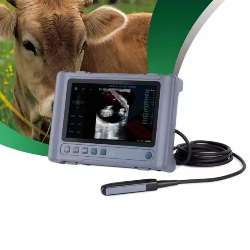 8 Inch LED Screen Handheld Veterinary Ultrasound Scanner Waterproof Palm Instrument