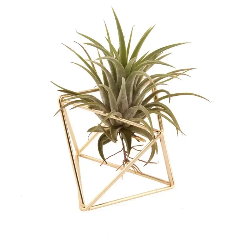 Geometric Metal Flower Bracket, Garden Basket, Wall Decoration, Hanging Air Plant,  Pot Rack Holder