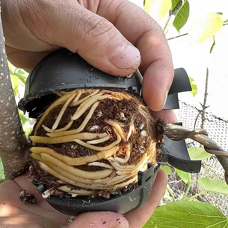 Plant Root Growing Box 10 Pieces Reusable Propagation Balls Secure Gardening Supplies For Backyard Farm Pathway Driveway Patio
