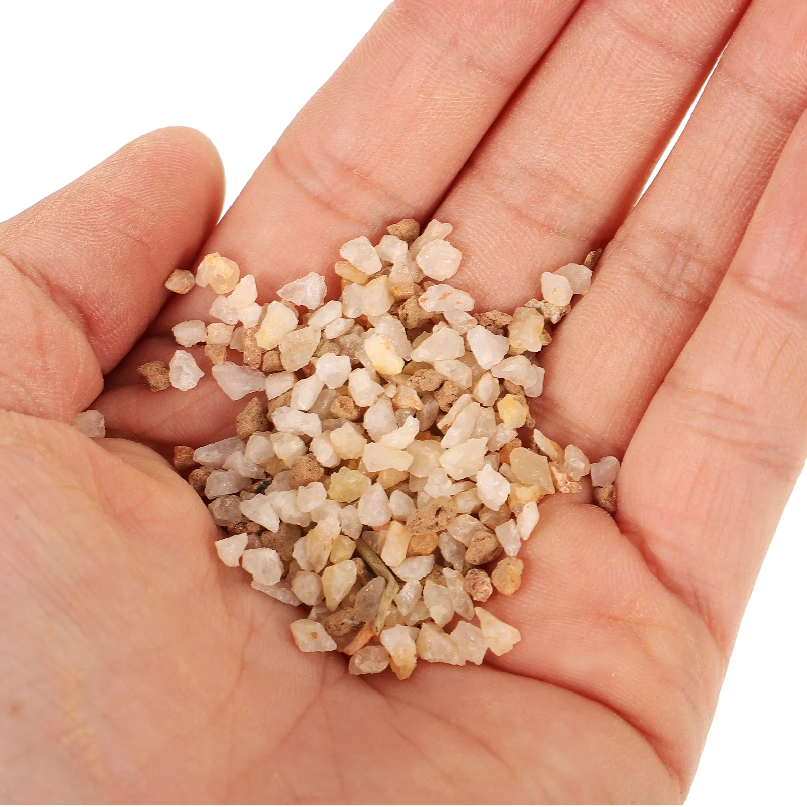 

1 Bag Stones Succulent Rock Decorative Gravel for Bonsai Plants Succulent Cactus Stones Pebbles for Planters