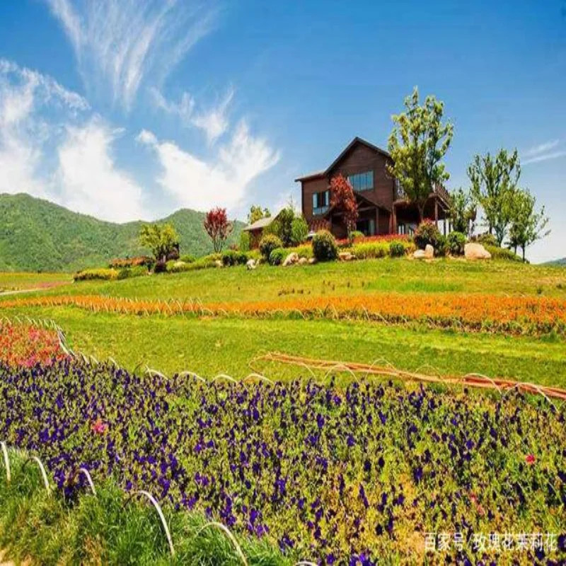 

For Volvo S90 2017-2024 Electric Tailgate Car Lift Auto Automatic Trunk Opening Electric Motor for Trunk Car Accessory Tools