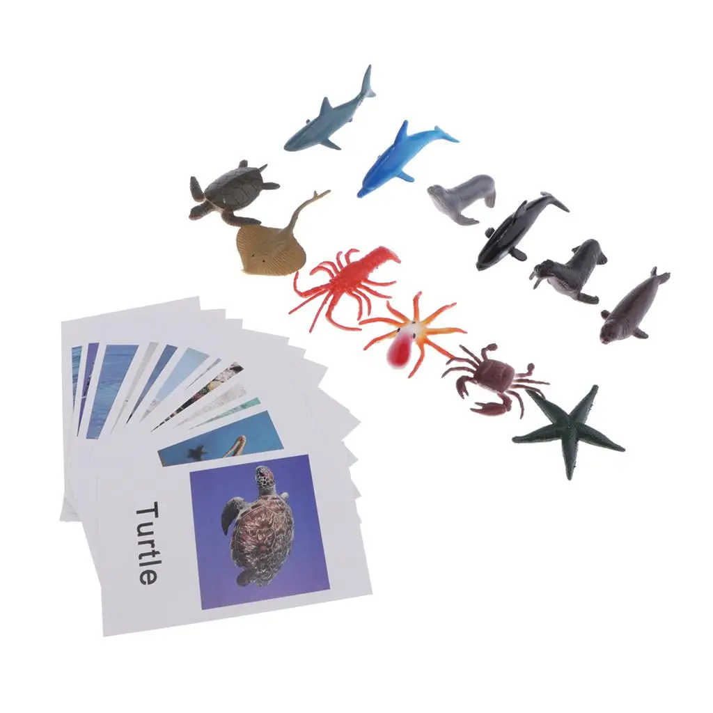 Montessori Ocean Animal Match Cards and Figurines, Matching Game Learning Toy, Language Materials