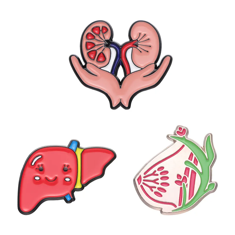 Organs Liver Kidney Breast Enamel Pins Custom Anatomy Medical Lapel Backpack Visceral Badge Nurse Jewelry For Medical Students