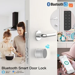 Bluetooth Door Lock Bank-grade AES128 TLS sensore di crittografia sblocco Tuya Smart APP telecomando vocale Alexa Google EU