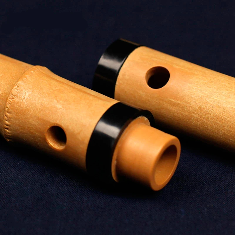 Resin Shakuhachi D Key Musical Instrument Wooden Musical Instruments Janpan Yuu Flute With Root Woodwind Instrument Not Nan Xiao