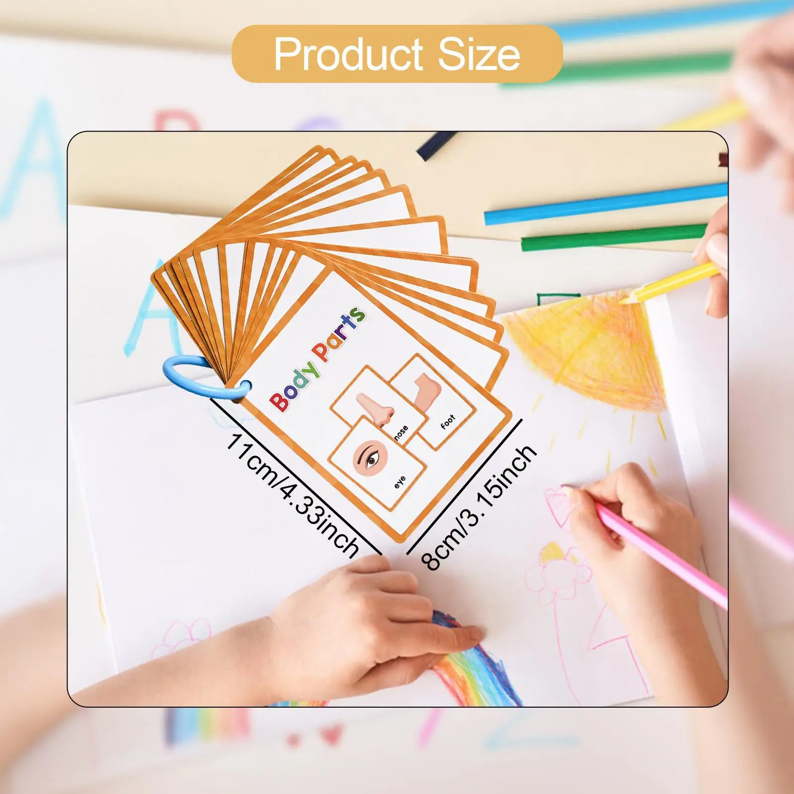 パーツフラッシュカード、学習玩具 耳/鼻/目/歯 教育玩具