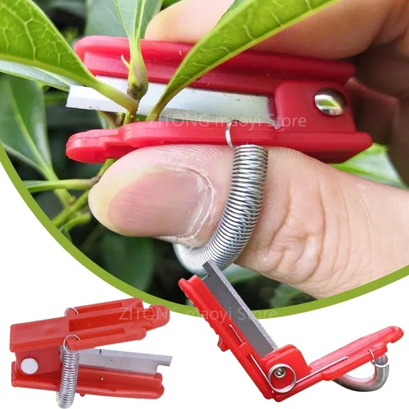 Fruit and vegetable picking knife, grape pinching knife, whisker pinching knife, vegetable picking thumb knife practical tool