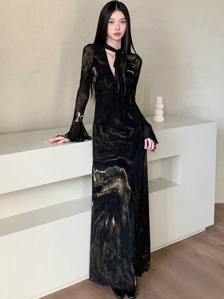 

Women Print Mesh Long Sleeve Hollow Out V-Neck Sexy Dress Autumn Winter Vintage Hepburn Luxury Dress 2025 Korean Elegant Dresses