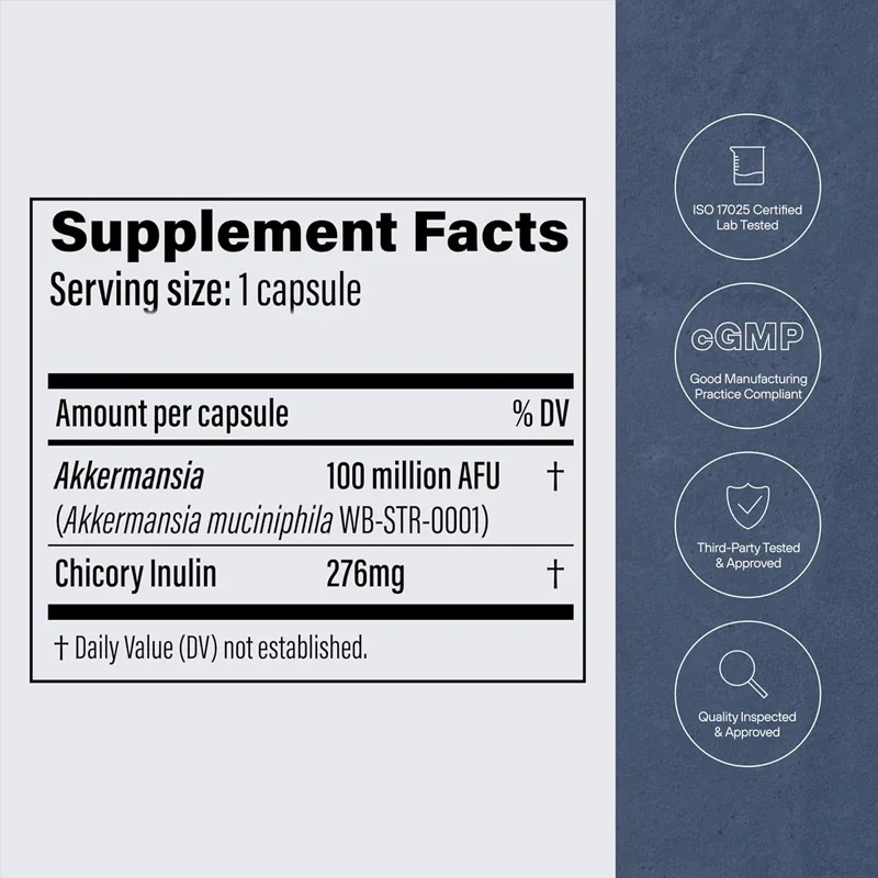 Akkermansia Probiotics Contain Prebiotic Fiber -60 Capsules,100mafu Live Strain,promoting Intestinal for Both Menandwomen