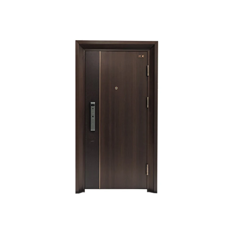 Top-Grade Modern Aluminum Alloy Exterior Security Doors with Water Resistant Customization for Main Villa