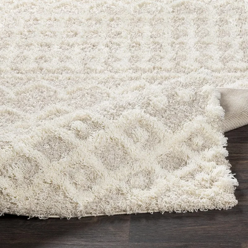 

Shag Area Rug, 5'3" x 7'3", Beige