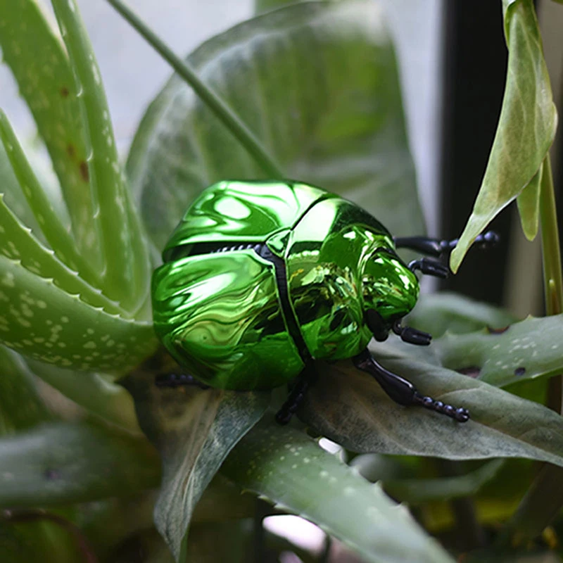 Scarabeo Scherzo Scherzo Animato; Giocattolo a carica in plastica resistente per bambini