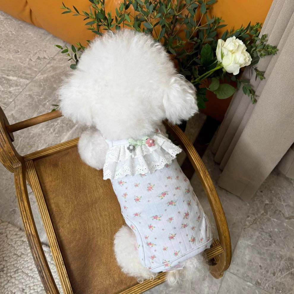Hunde-Bodysuit mit Kirschmuster, atmungsaktiver Bauchschutz mit Spitzenbesatz für kleine Haustiere – Detail 7