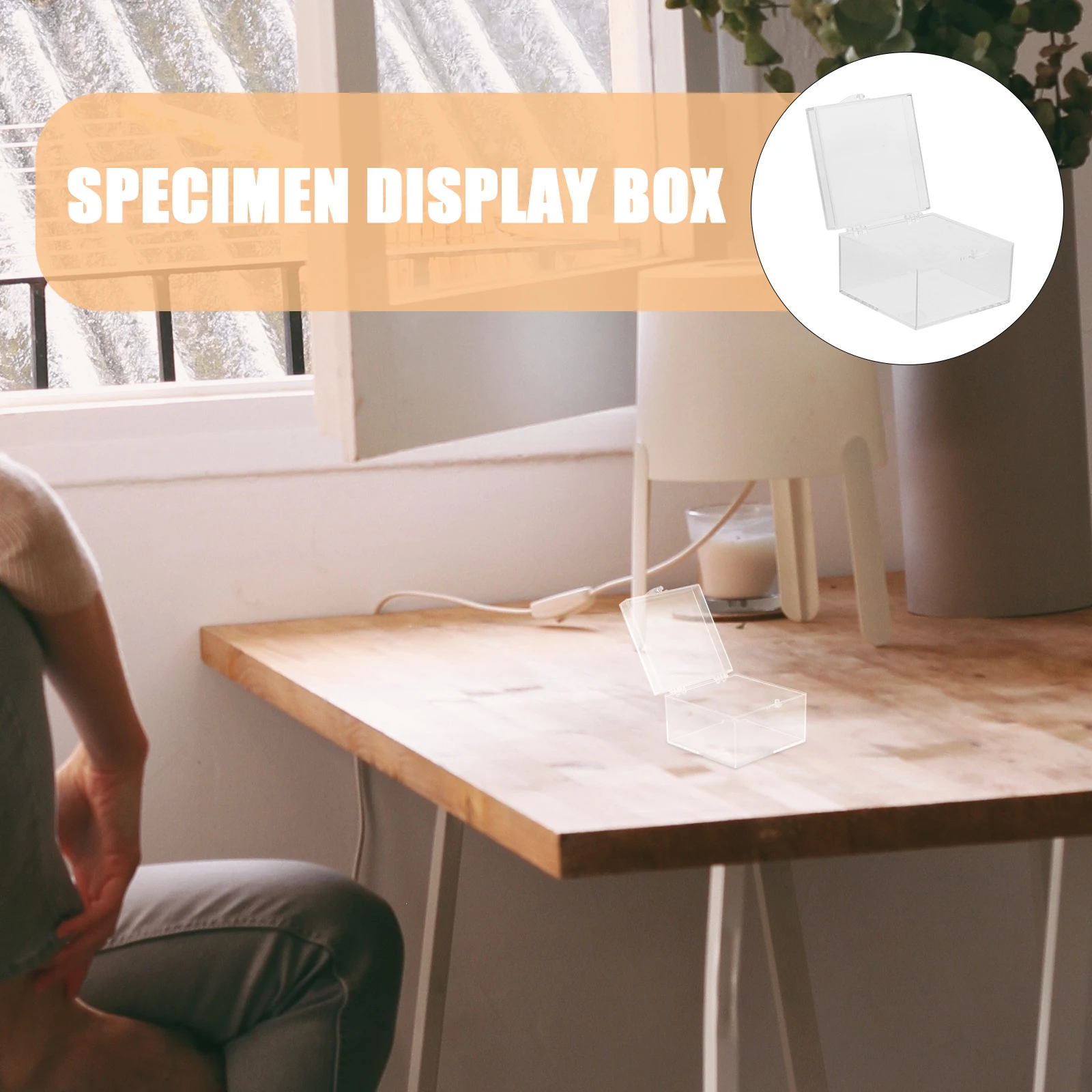 

Packing Boxes Sample Mineral Specimen Containers Transparent Display Case White Storage