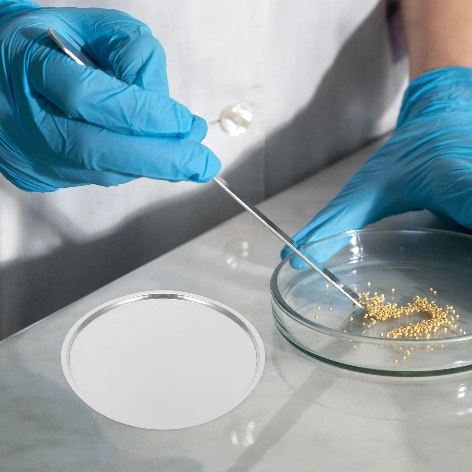

10 Pcs Shallow Bottom Weighing Dish Small Trays Portable Lab Dishes Balance Pans Aluminum Scale Foil Chemistry Boats