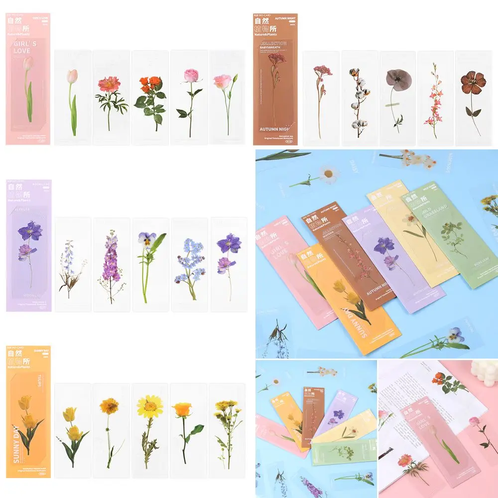 5Pcs/Set Nature Plants Flower Bookmarks Card Translucent Flower Book Note Marker Page Holder PET Reading Bookmarks Stationery