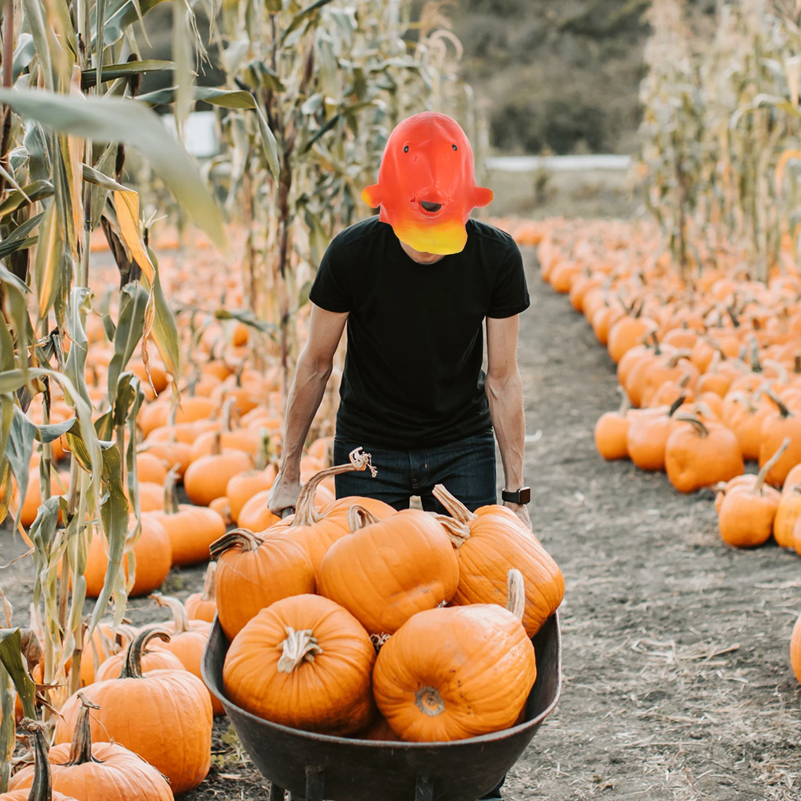 

Realistic Carp Head Mask Full Headgear Halloween Costume Party Cosplay Accessory Photo Prop Fish Headgear Carp Head Mask